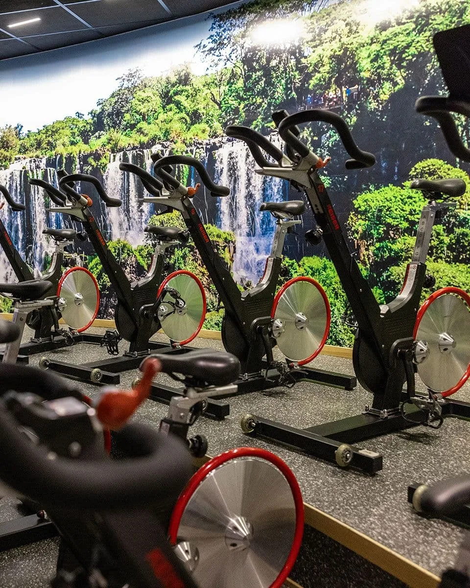 3T FOSSEGRENDA – bilde 1