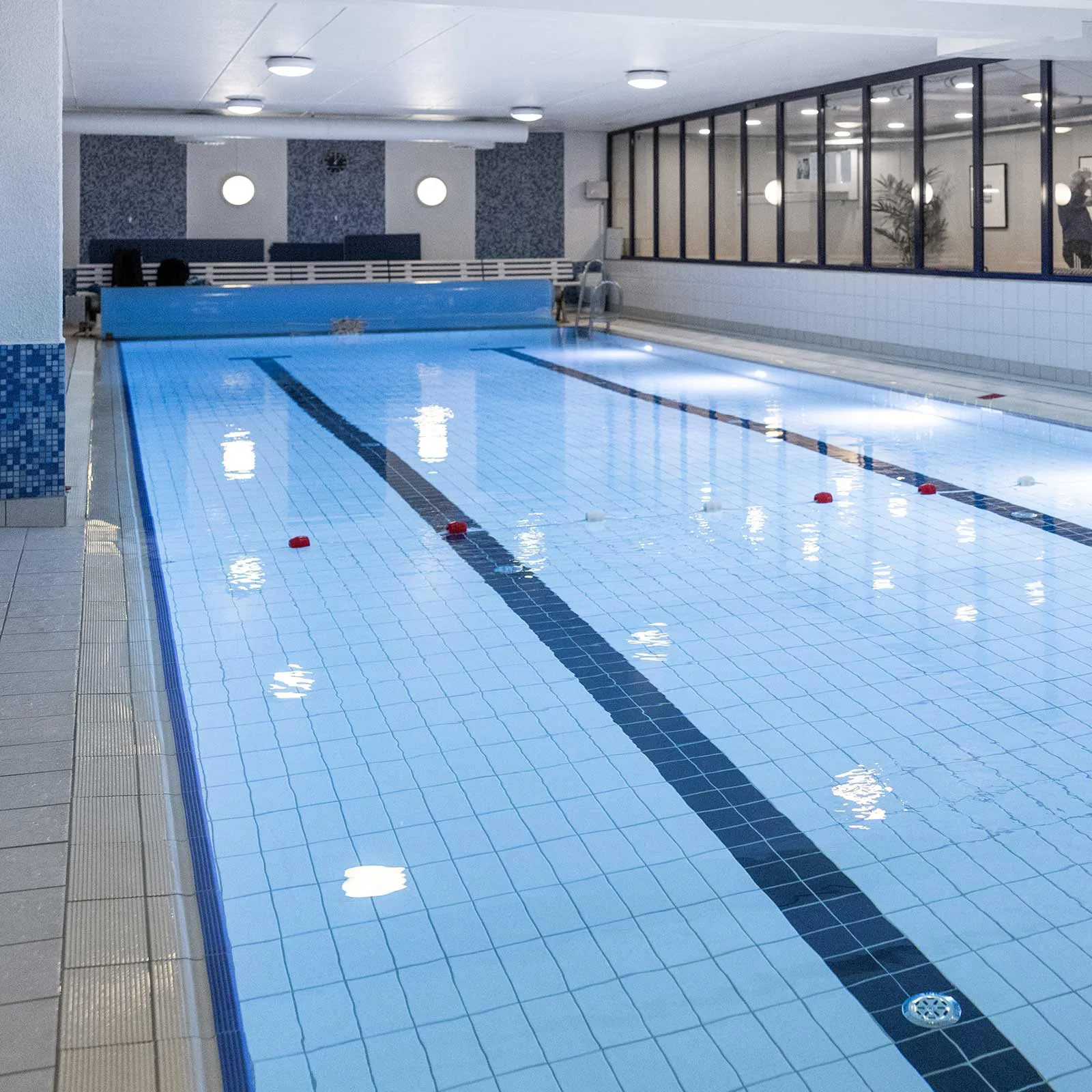 3T FOSSEGRENDA – bilde 4