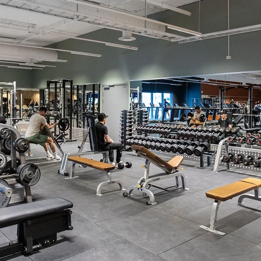 3T STJØRDAL – bilde 5