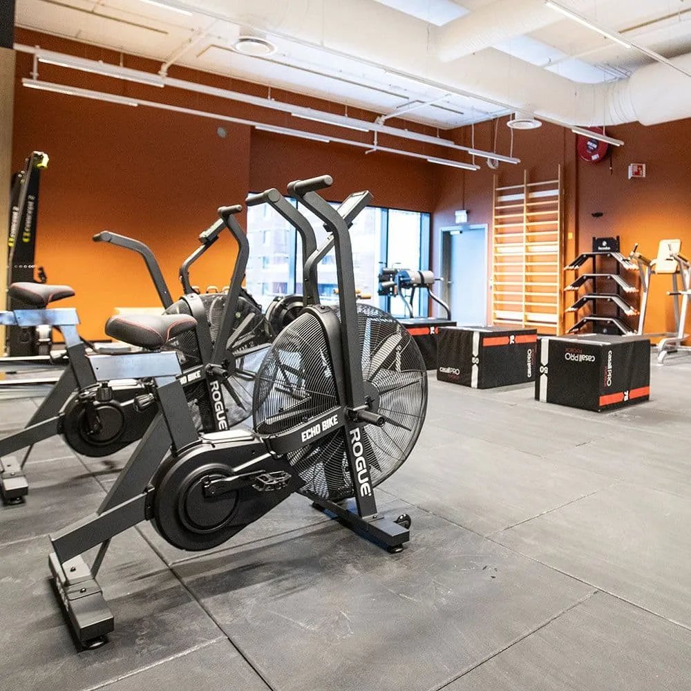 3T STJØRDAL – bilde 6