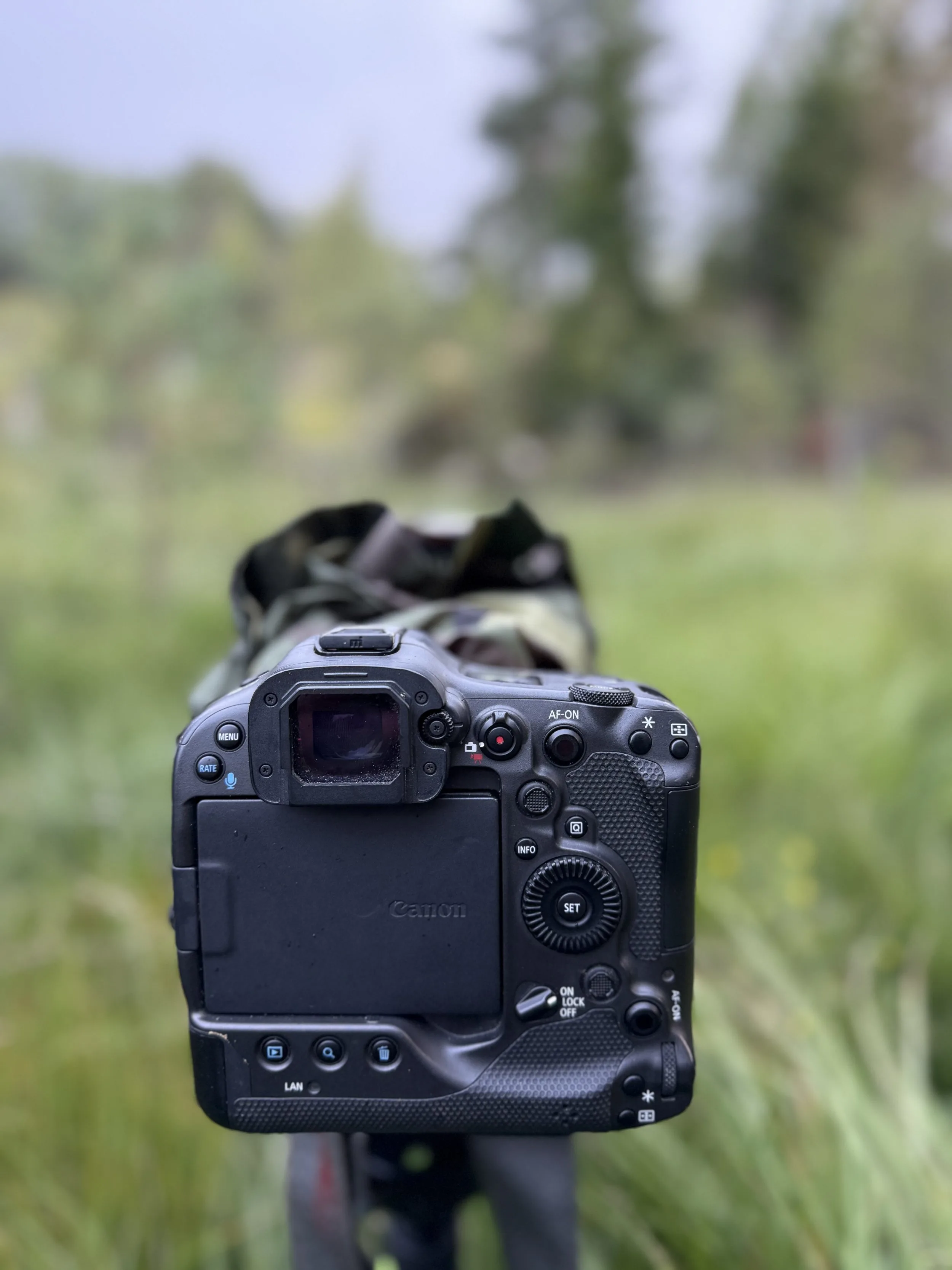 ÅKSET NATURFOTO – bilde 3