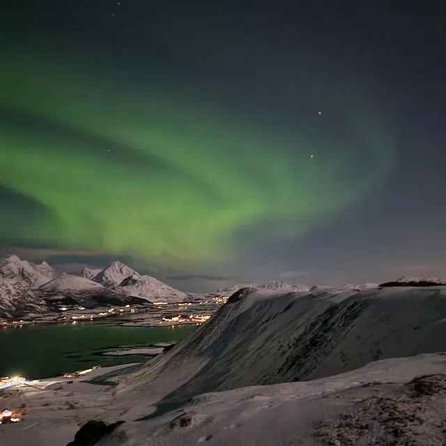 Arvid Amundsen – Lofottakst AS – bilde 4