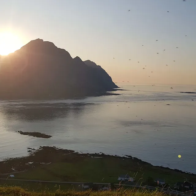 Arvid Amundsen – Lofottakst AS – bilde 5