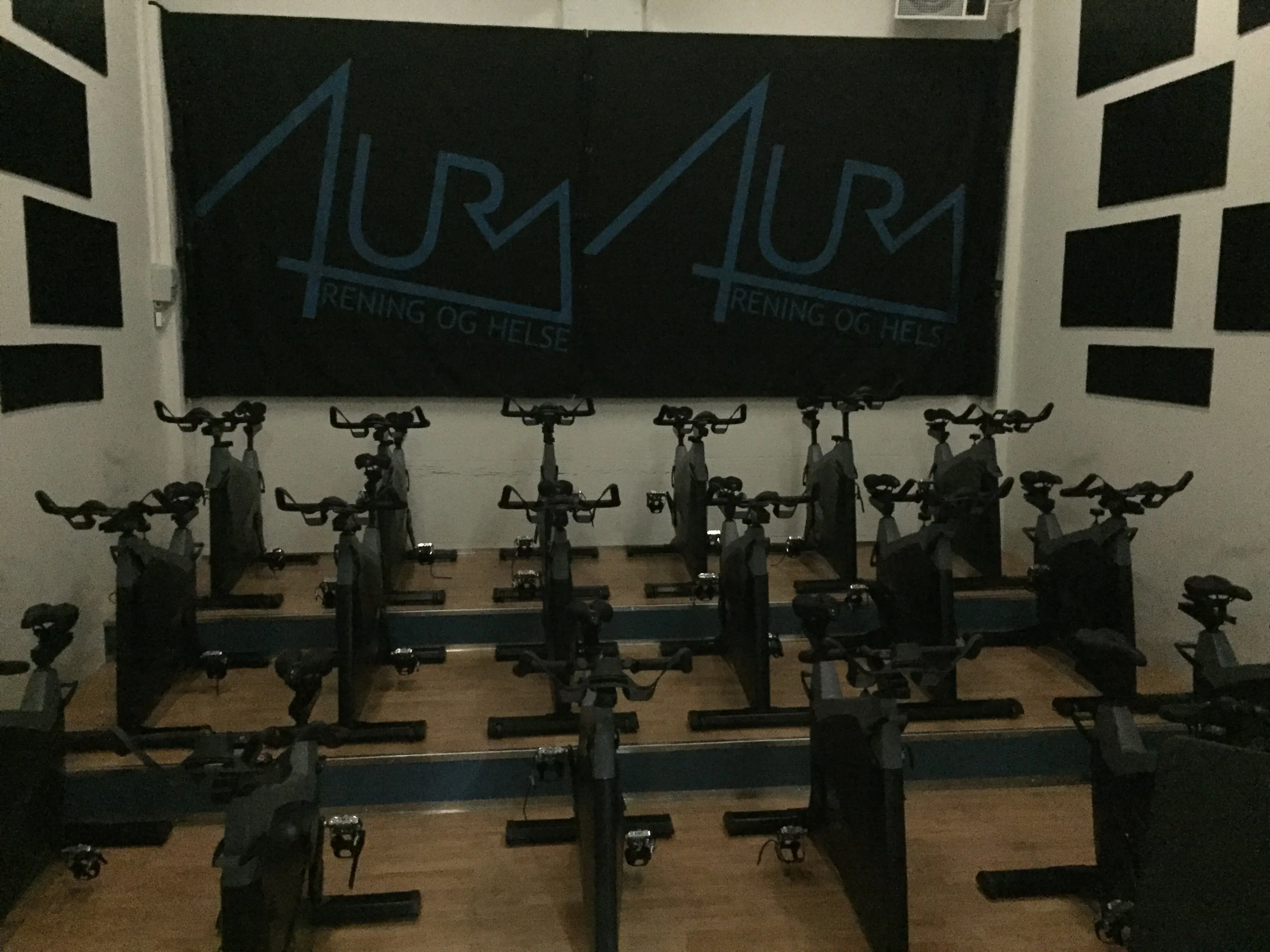 AURA TRENING OG HELSE – bilde 6