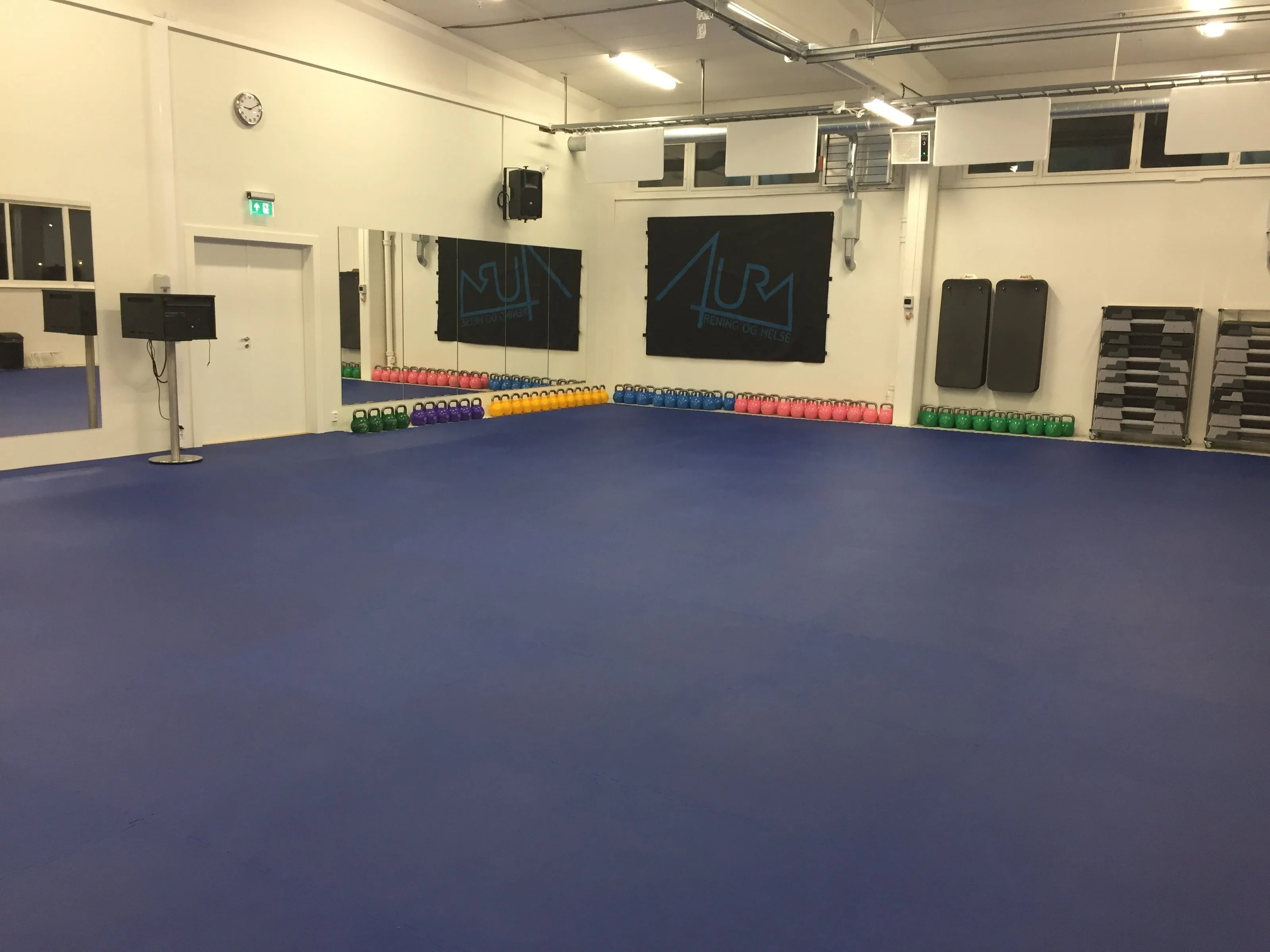 AURA TRENING OG HELSE – bilde 7