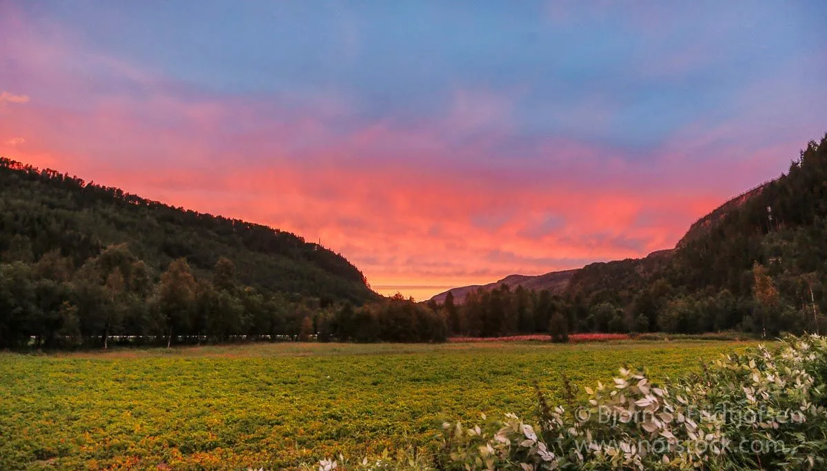 BILDEFABRIKKEN – bilde 1