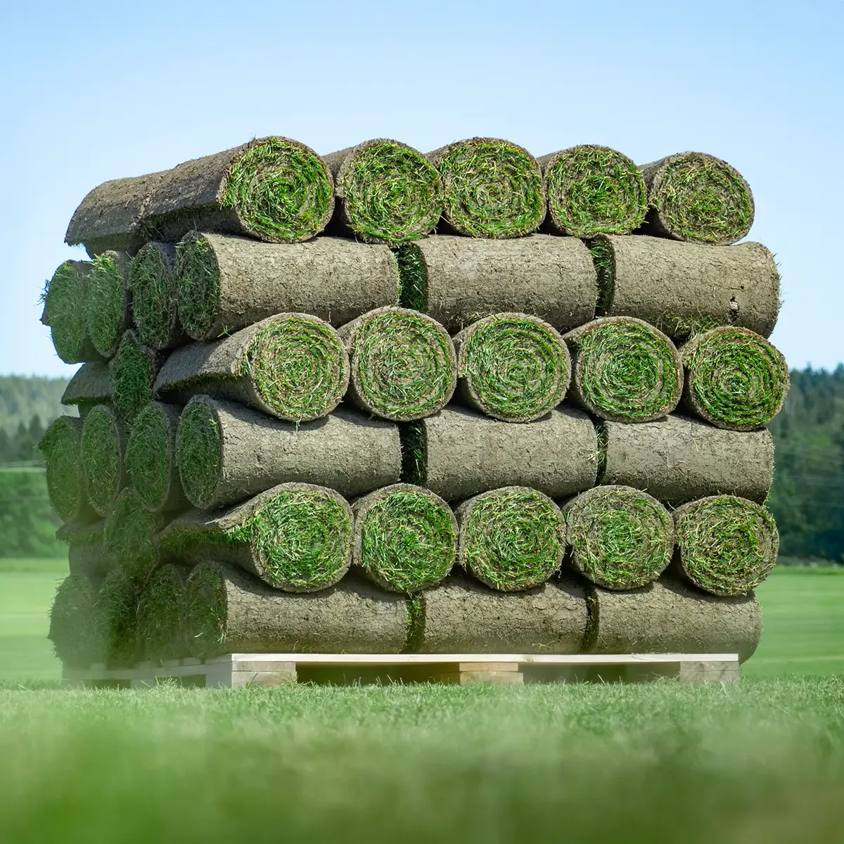 BUSKERUD FERDIGPLEN AS – bilde 4