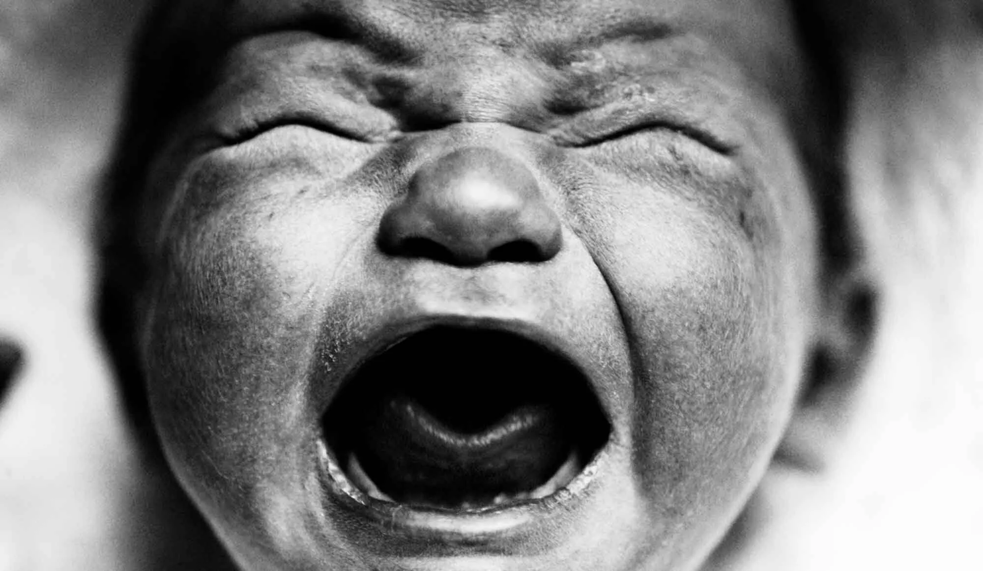 DE FIGUEIREDO JO MICHAEL – bilde 4