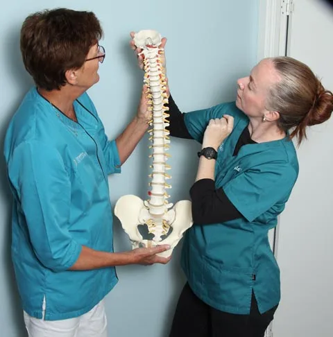 Drammen osteopati – Ingvild Søreide – bilde 4