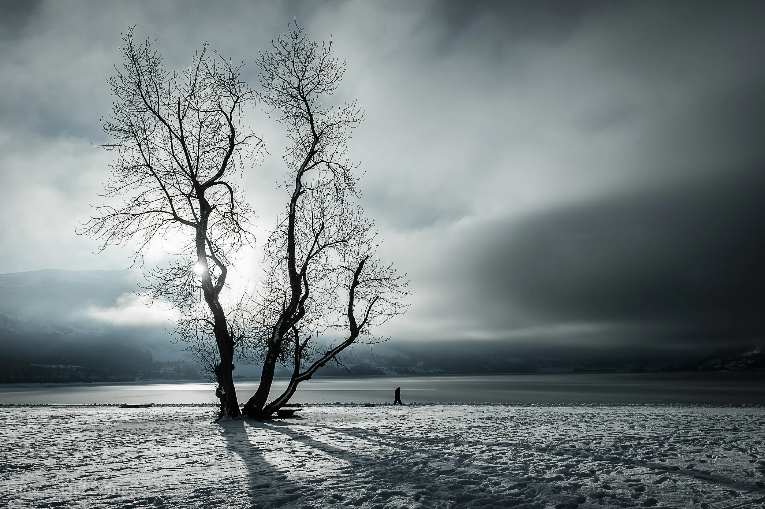 EILIF STENE FOTO – bilde 1