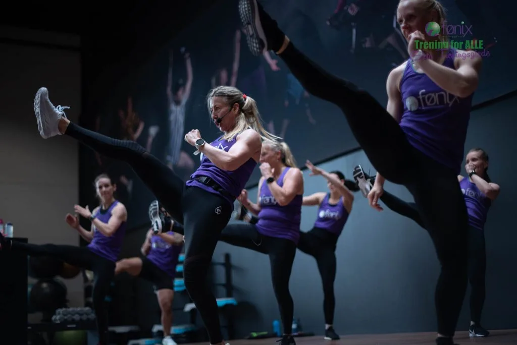 Fønix Brumunddal – bilde 1