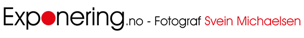 EXPONERING SVEIN MICHAELSEN