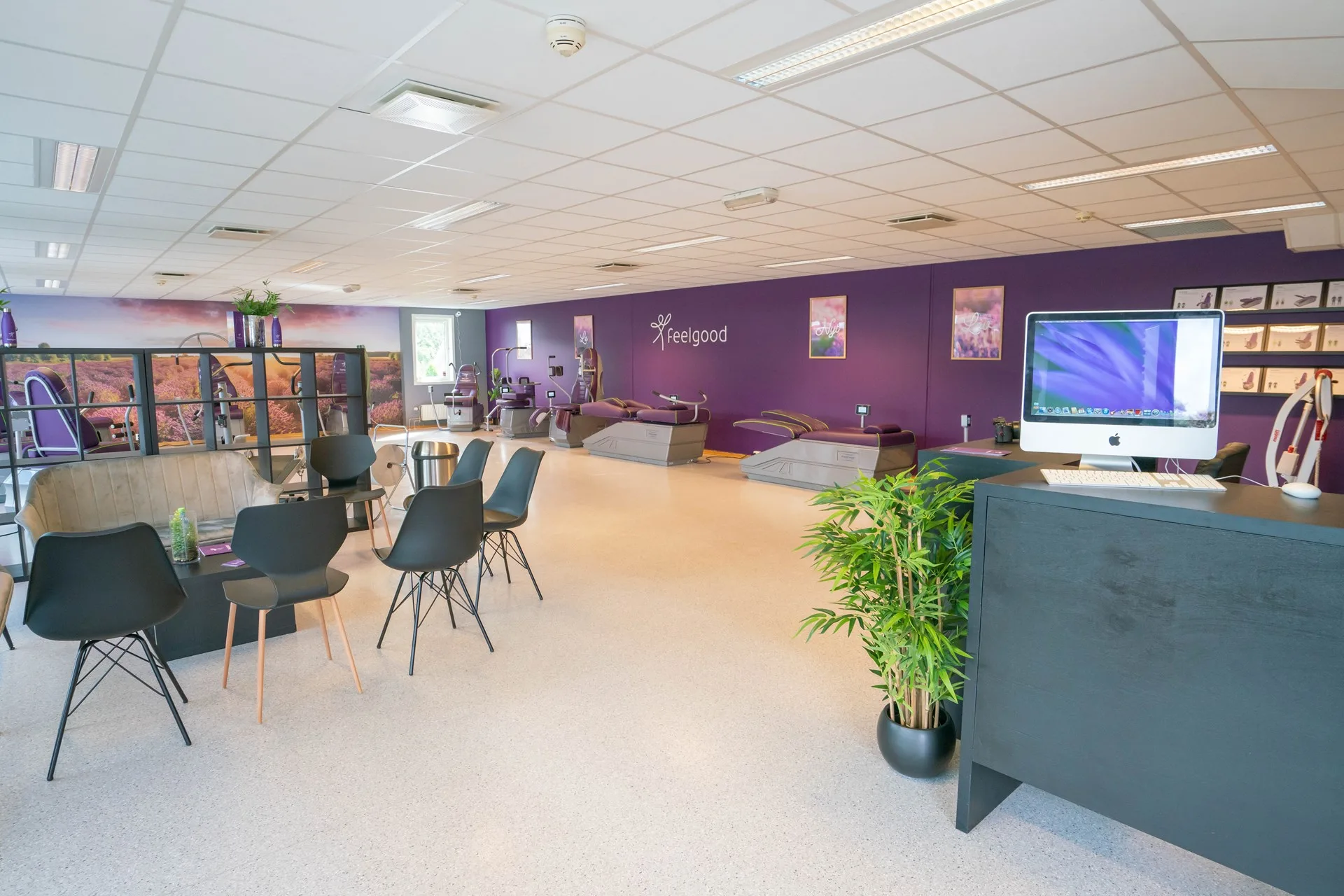 FEELGOOD RYGGE – bilde 1