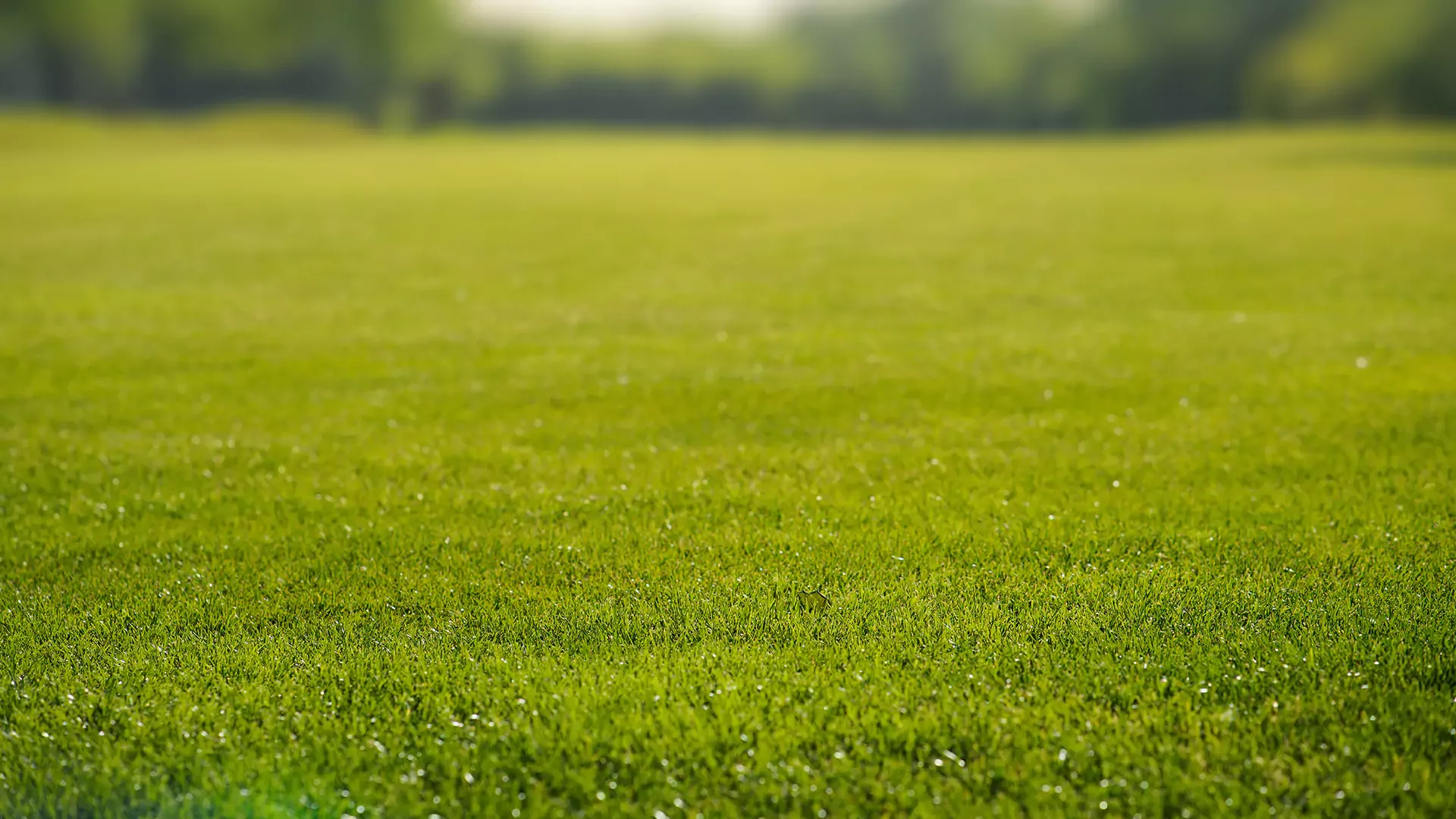 FOLLO FERDIGPLEN – bilde 1