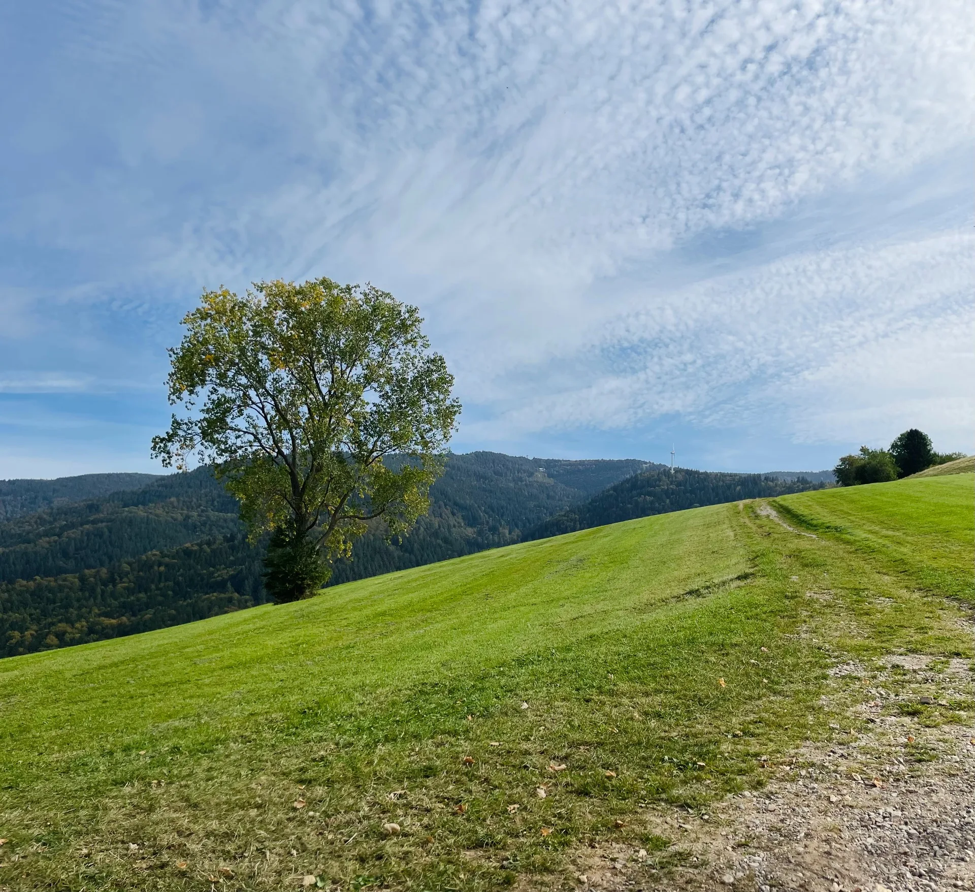 FOTFESTE - CHRISTINA BÜTOF GESTALTTERAPI