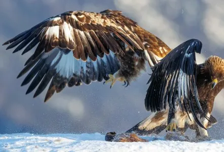 FOTOGRAF ANDERS LILLEBØ - EXPLORE THE MOMENTS – bilde 2