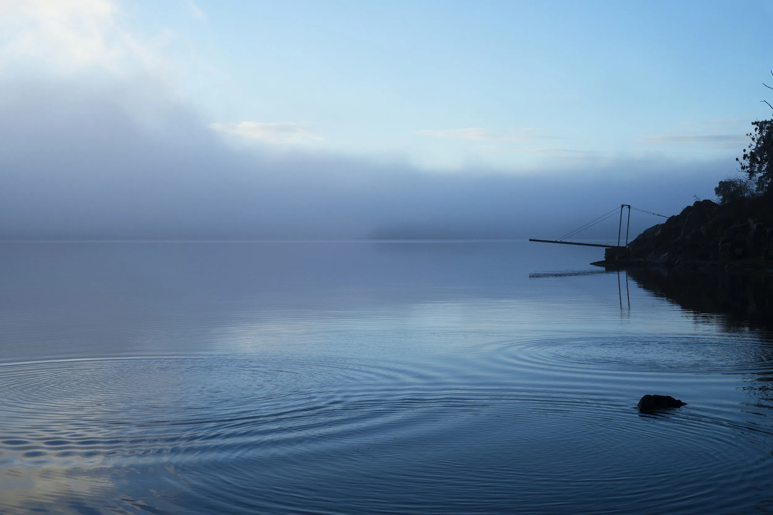 FOTOGRAF NICKI TWANG – bilde 2