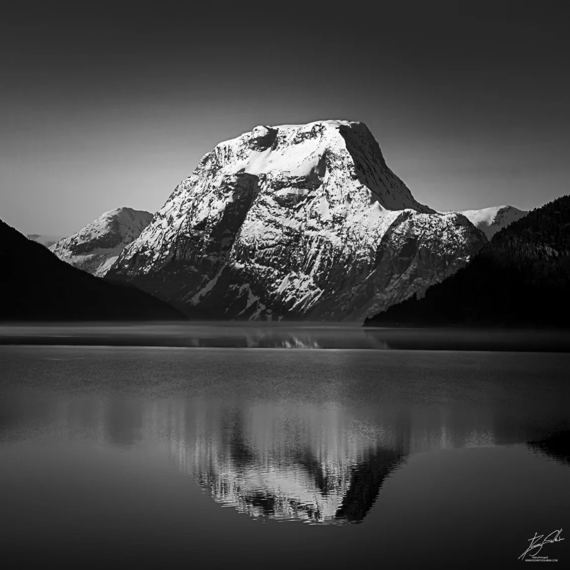 FOTOGRAF RONNY SOLHEIM – bilde 3