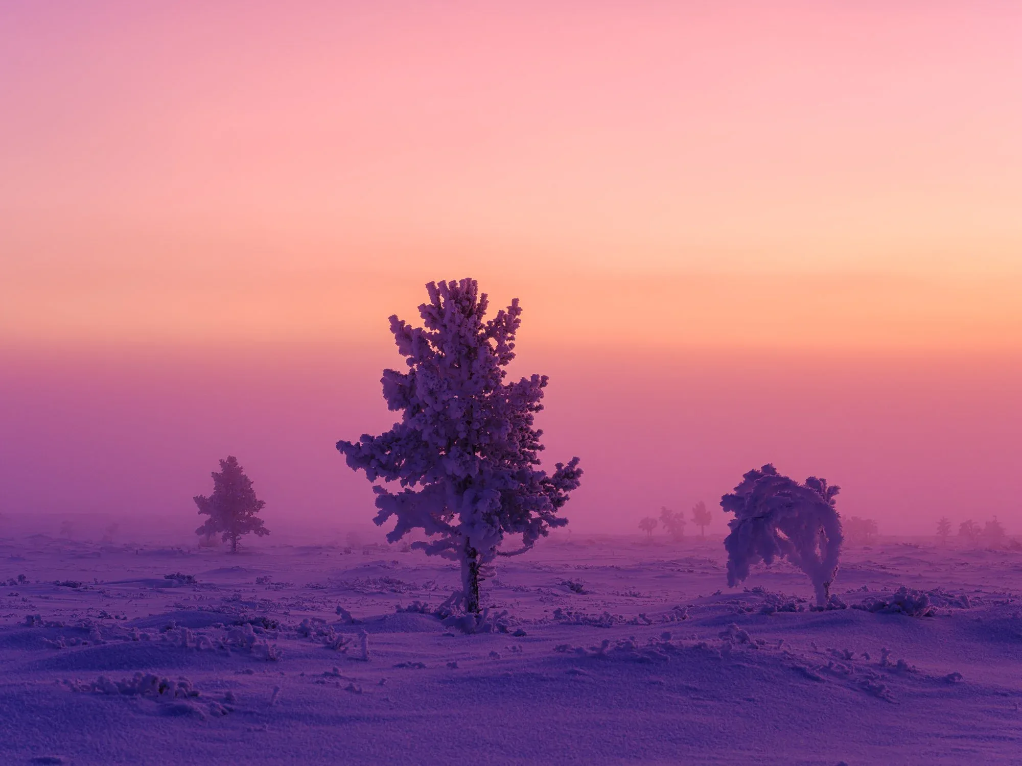 FOTOKNOFF AS – bilde 2