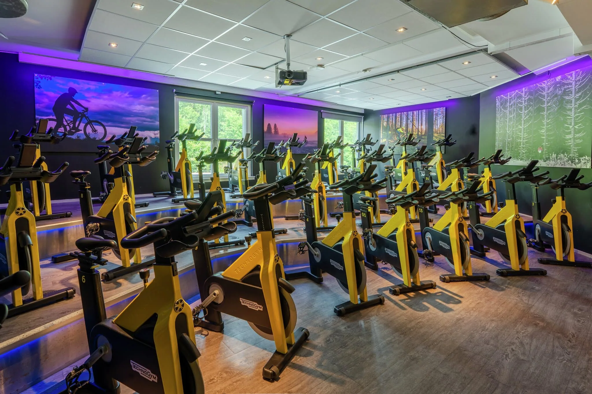 Gnist Gjettum – bilde 3