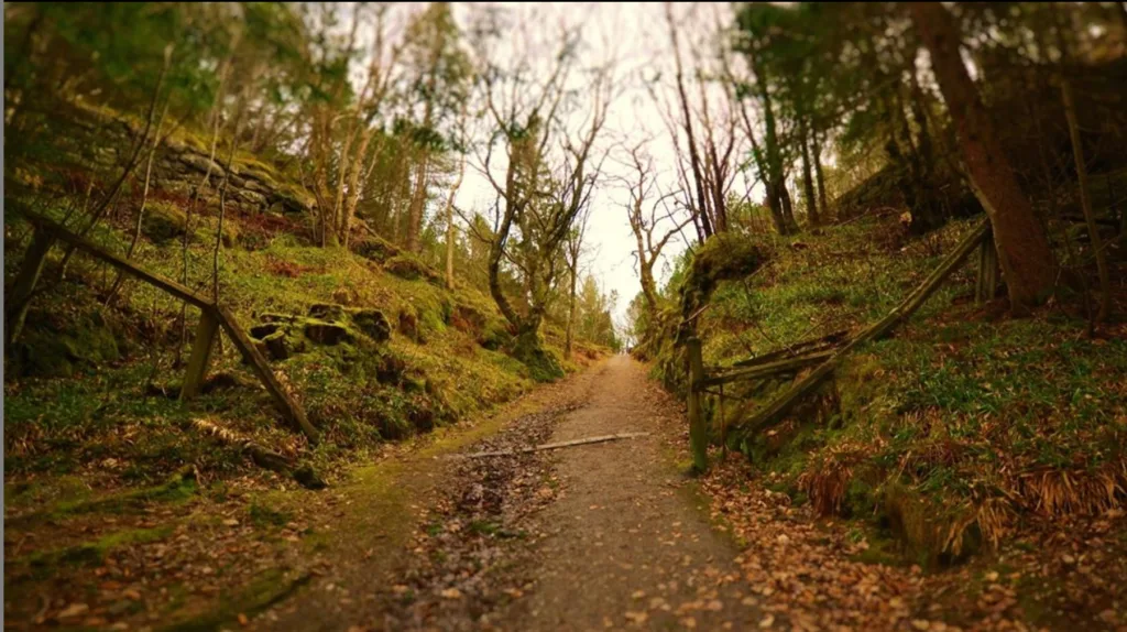 GYM RAGNAROK – bilde 1