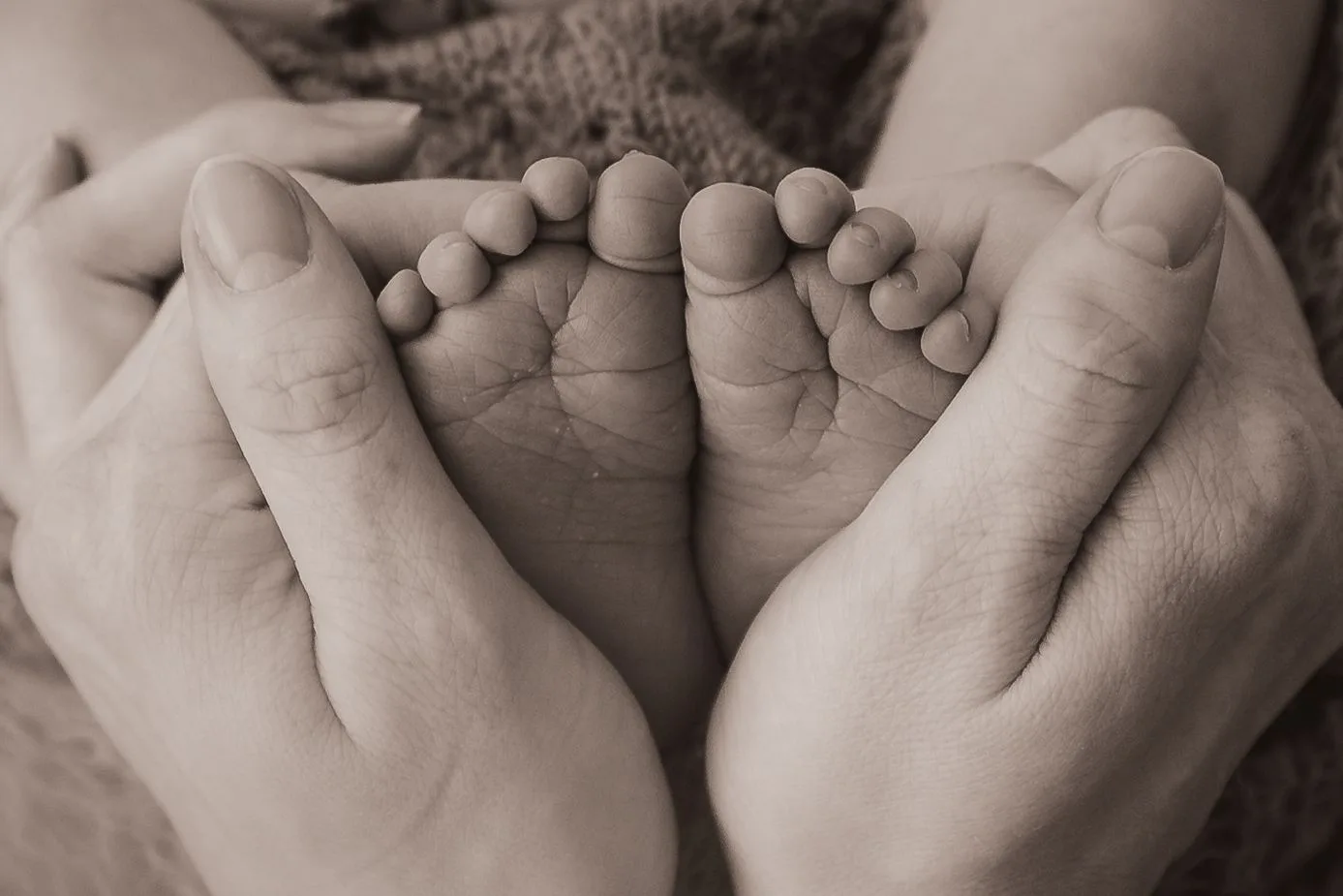 HEIMARK FOTO – bilde 1