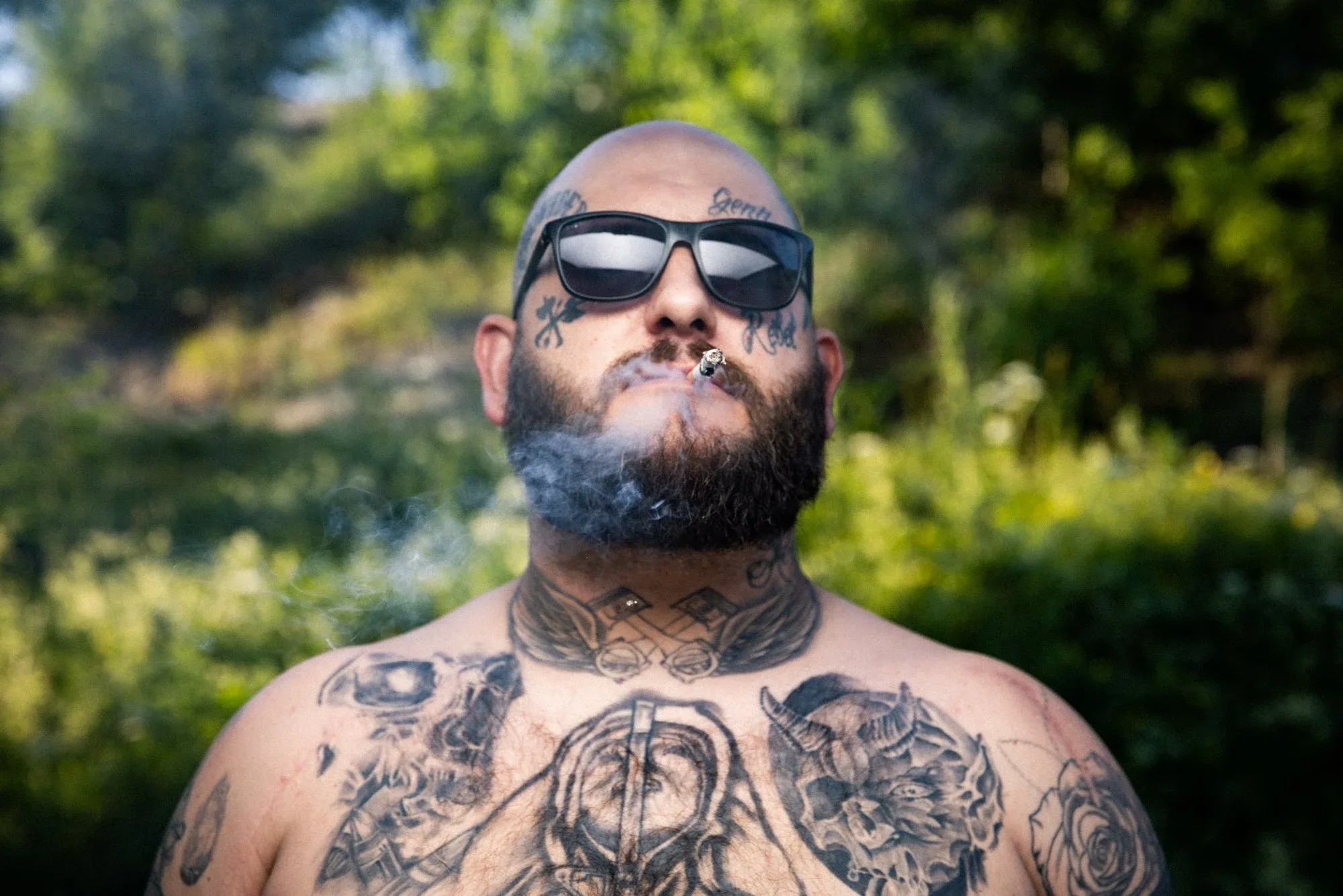 IHNE BILDER Ihne Pedersen – bilde 2