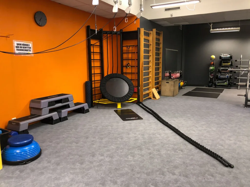 IMPULSE ROSTEN – bilde 5