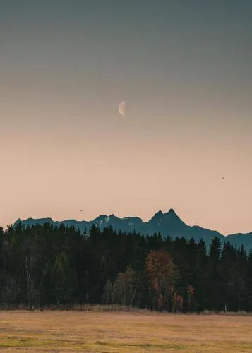 JØRN HOLM AS – bilde 2