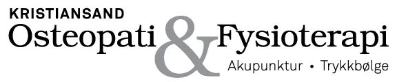 Kristiansand Osteopati & Fysioterapi – Are Lindstøl Svenningsen