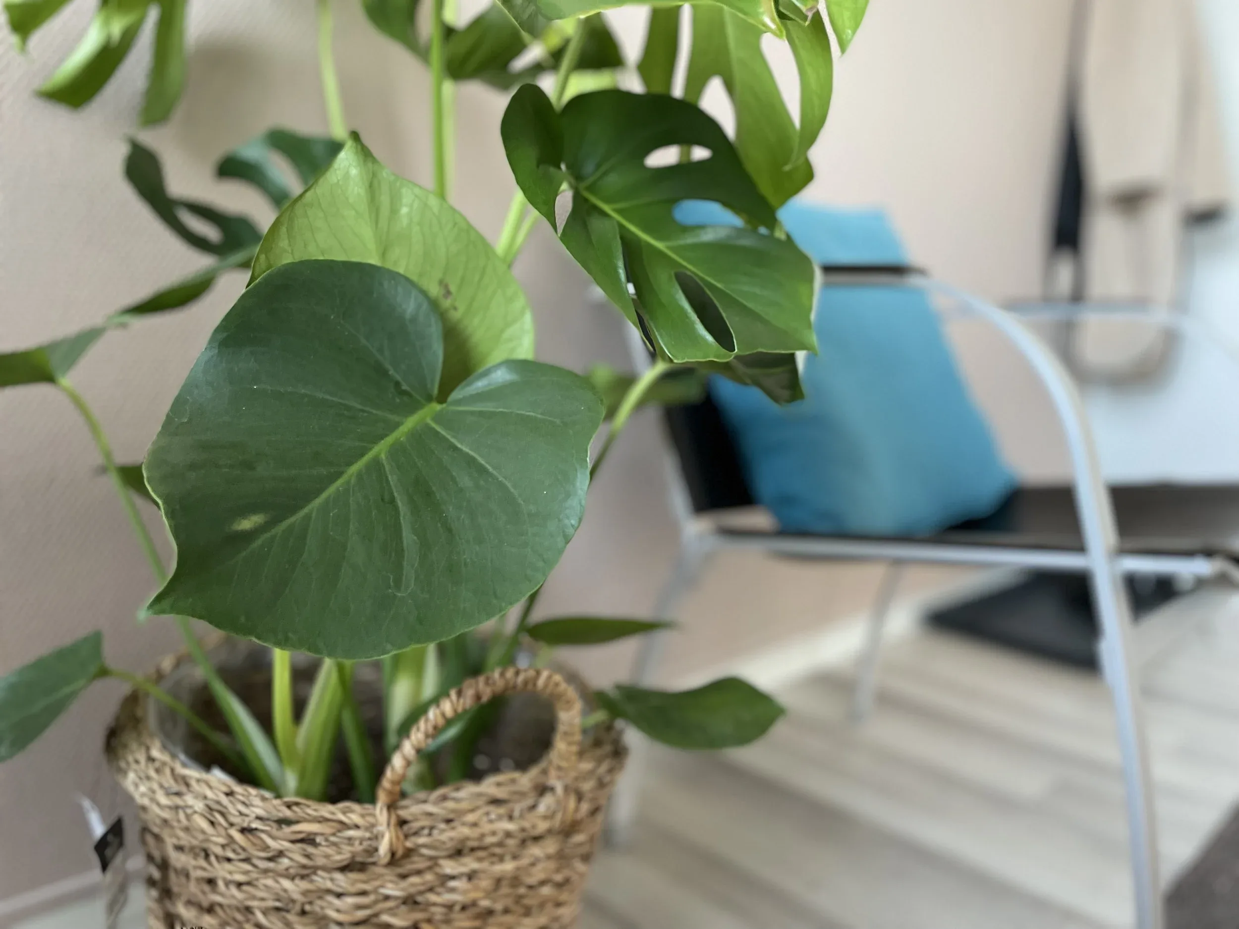 Lena Brittsdatter Johnsen Gestaltterapeut MNGF – bilde 1