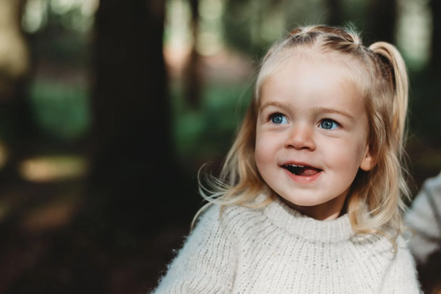 LEVERSENFOTO LØYNING – bilde 1