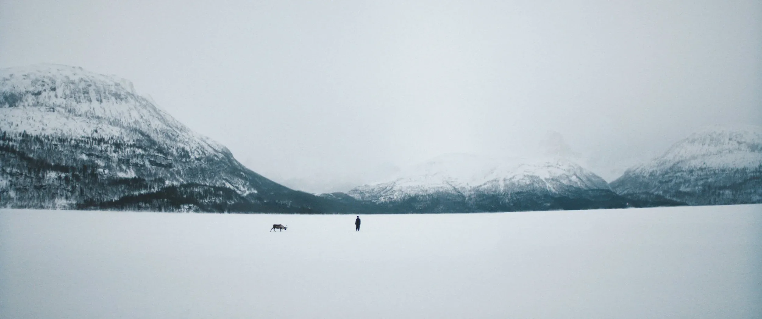 LUKASZ ZAMARO – bilde 1