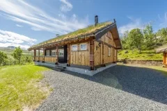 LUKE TENNANT FOTO – bilde 6