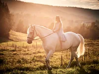 MALENEFOTO MALENE NILSSEN – bilde 4