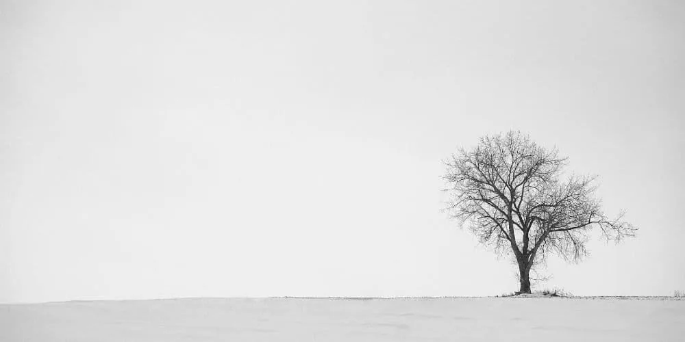 MARITA STOK GESTALTTERAPI OG VEILEDNING – bilde 2