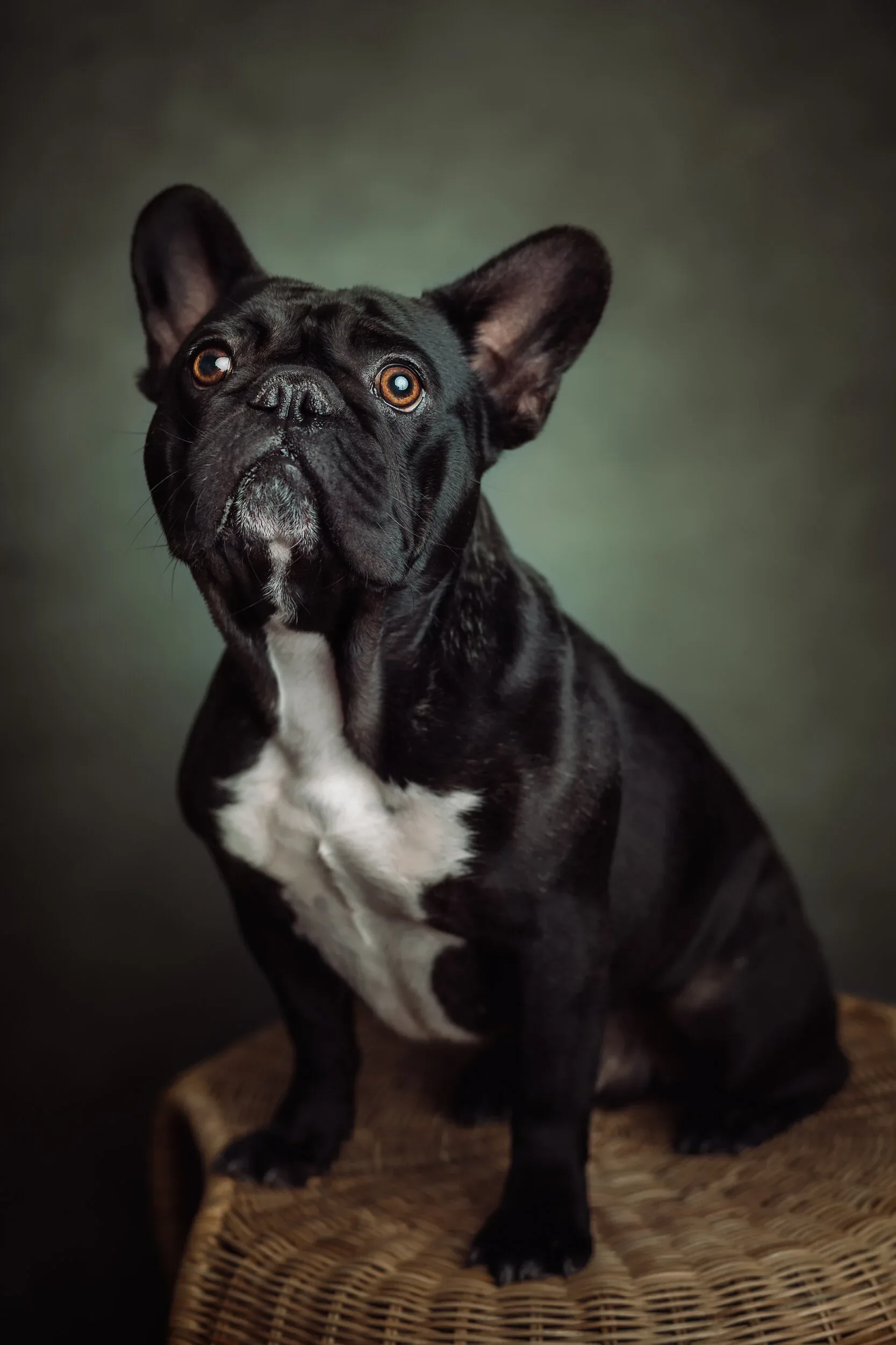 MICHAEL KOZDRAS PHOTOGRAPHY – bilde 3