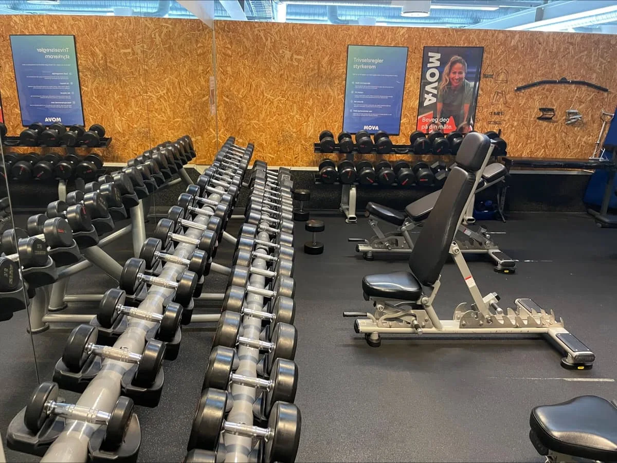 MOVA Gran – bilde 4