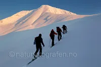 NATURFOTOGRAF GUNNAR WANGEN – bilde 4