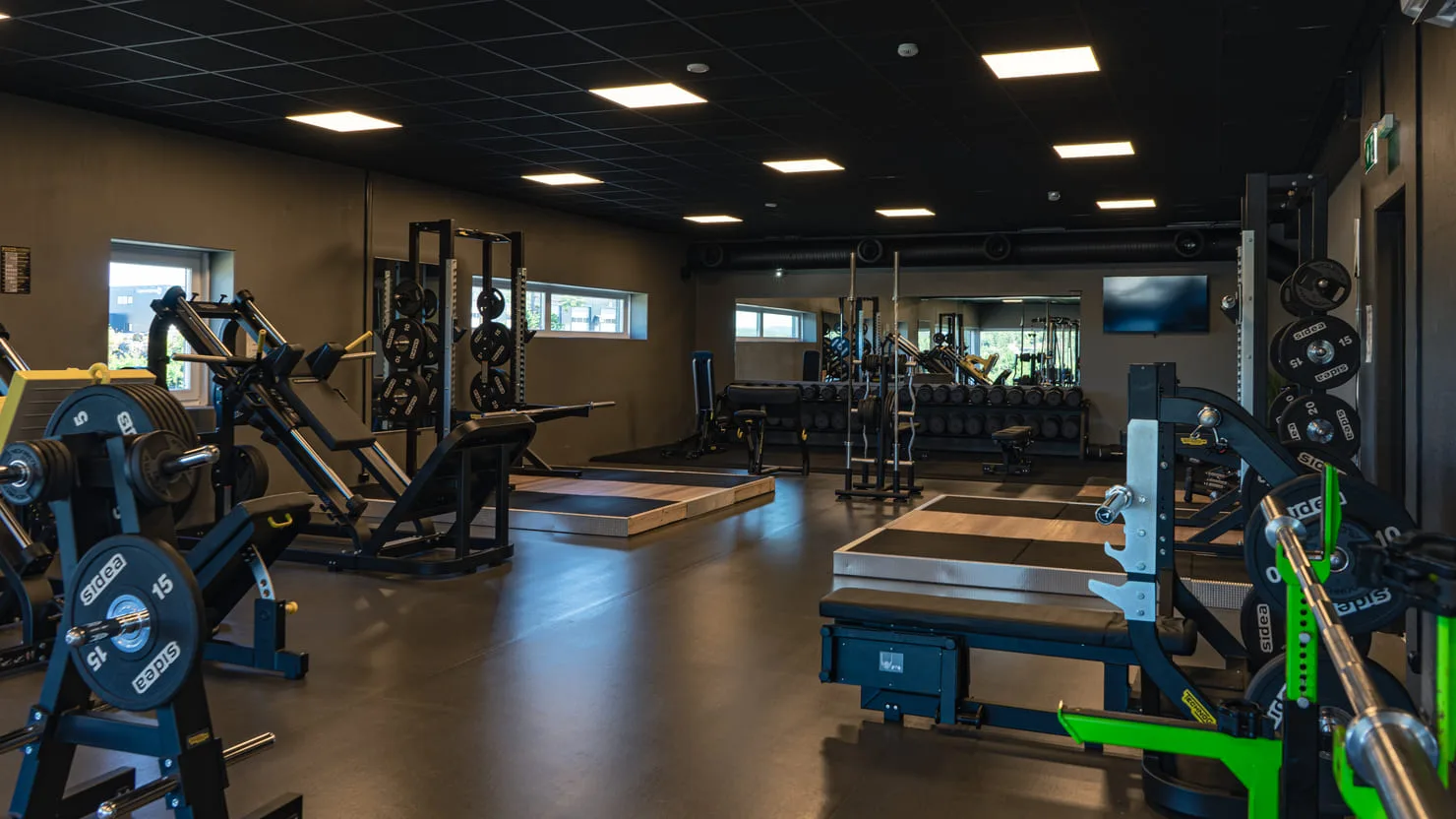 NEXT FROLAND – bilde 2