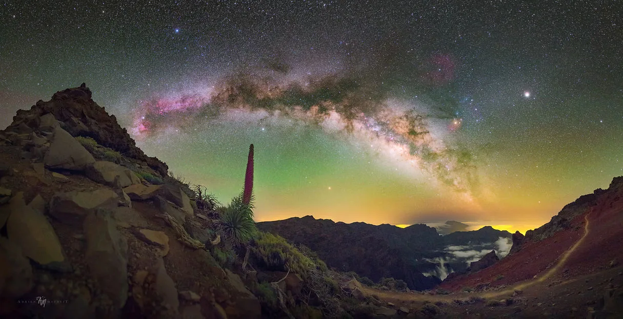 NIGHT LIGHTS FILMS - ADRIEN MAUDUIT – bilde 4