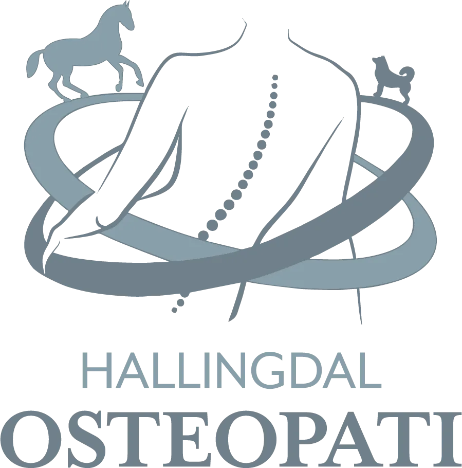 Numedal og Hallingdal Osteopati – Silje Omdalen Eriksen