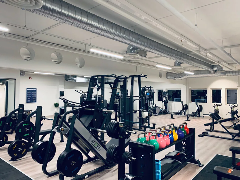 PULS GREVERUD – bilde 1