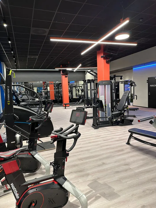 PULS MARIKOLLEN – bilde 5