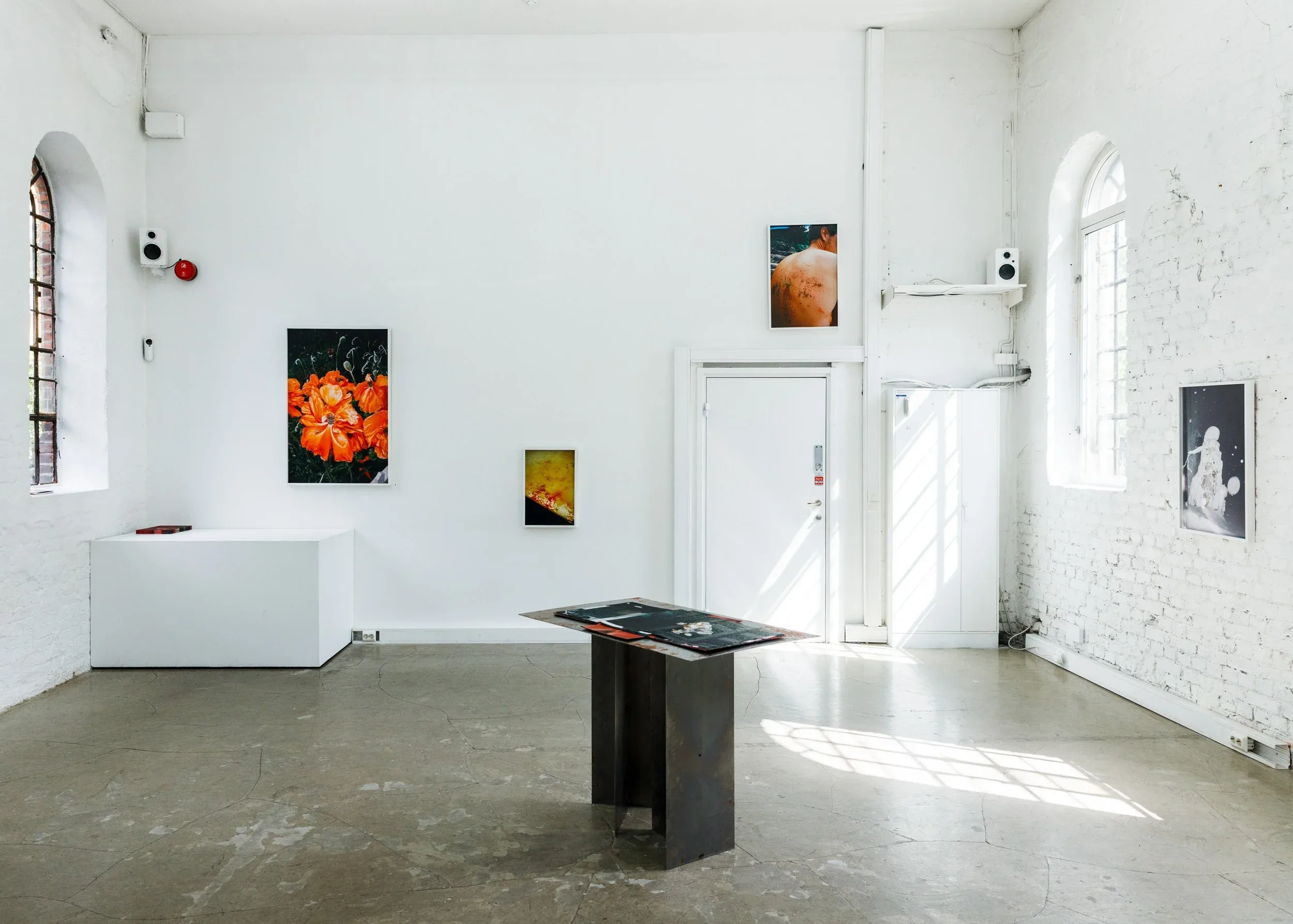 SIGNE FUGLESTEG LUKSENGARD – bilde 1