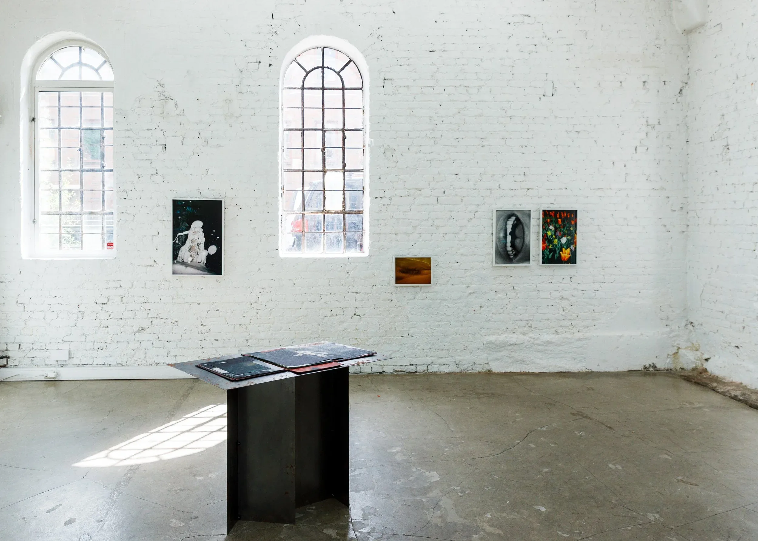 SIGNE FUGLESTEG LUKSENGARD – bilde 2