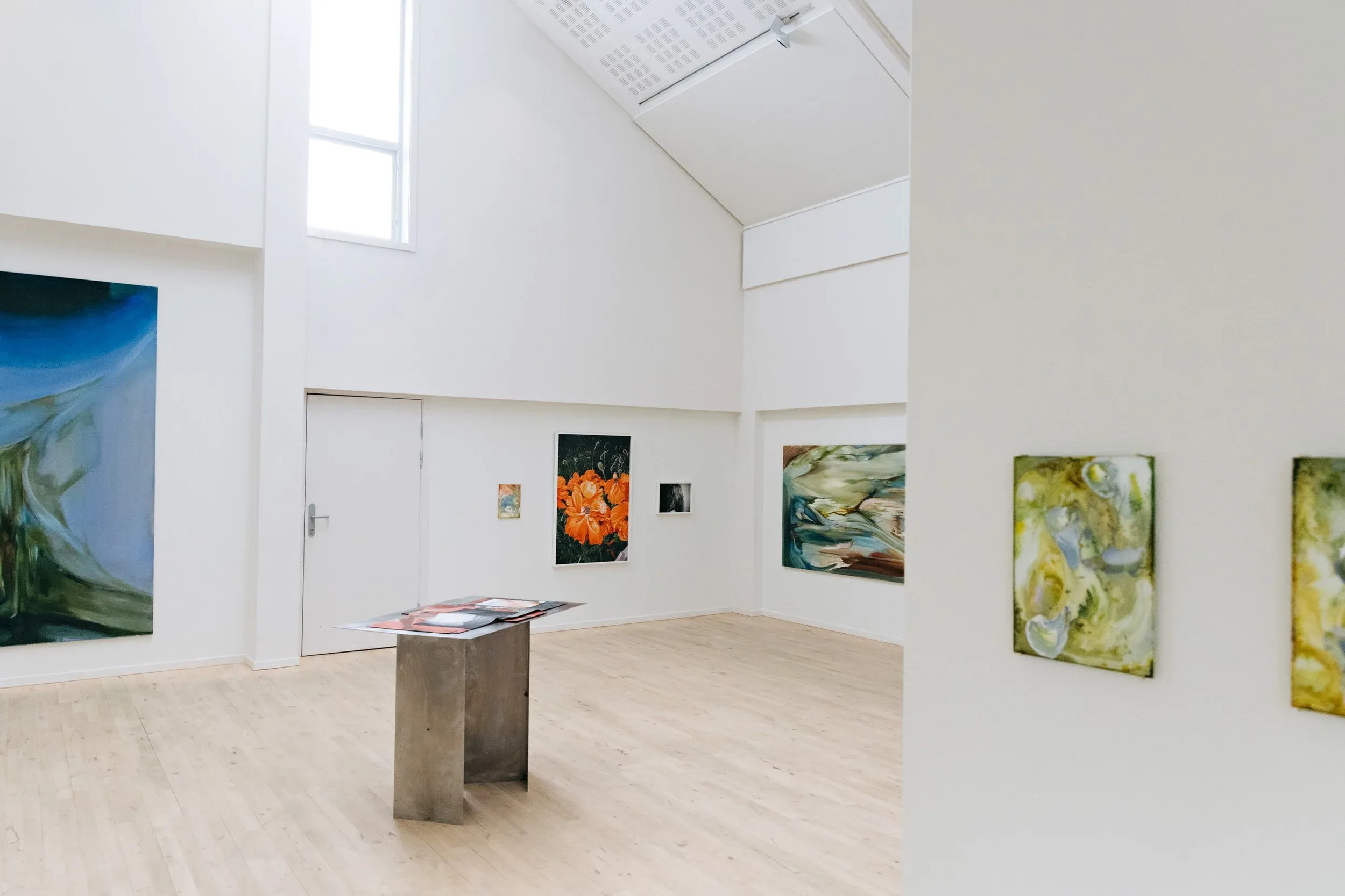 SIGNE FUGLESTEG LUKSENGARD – bilde 4