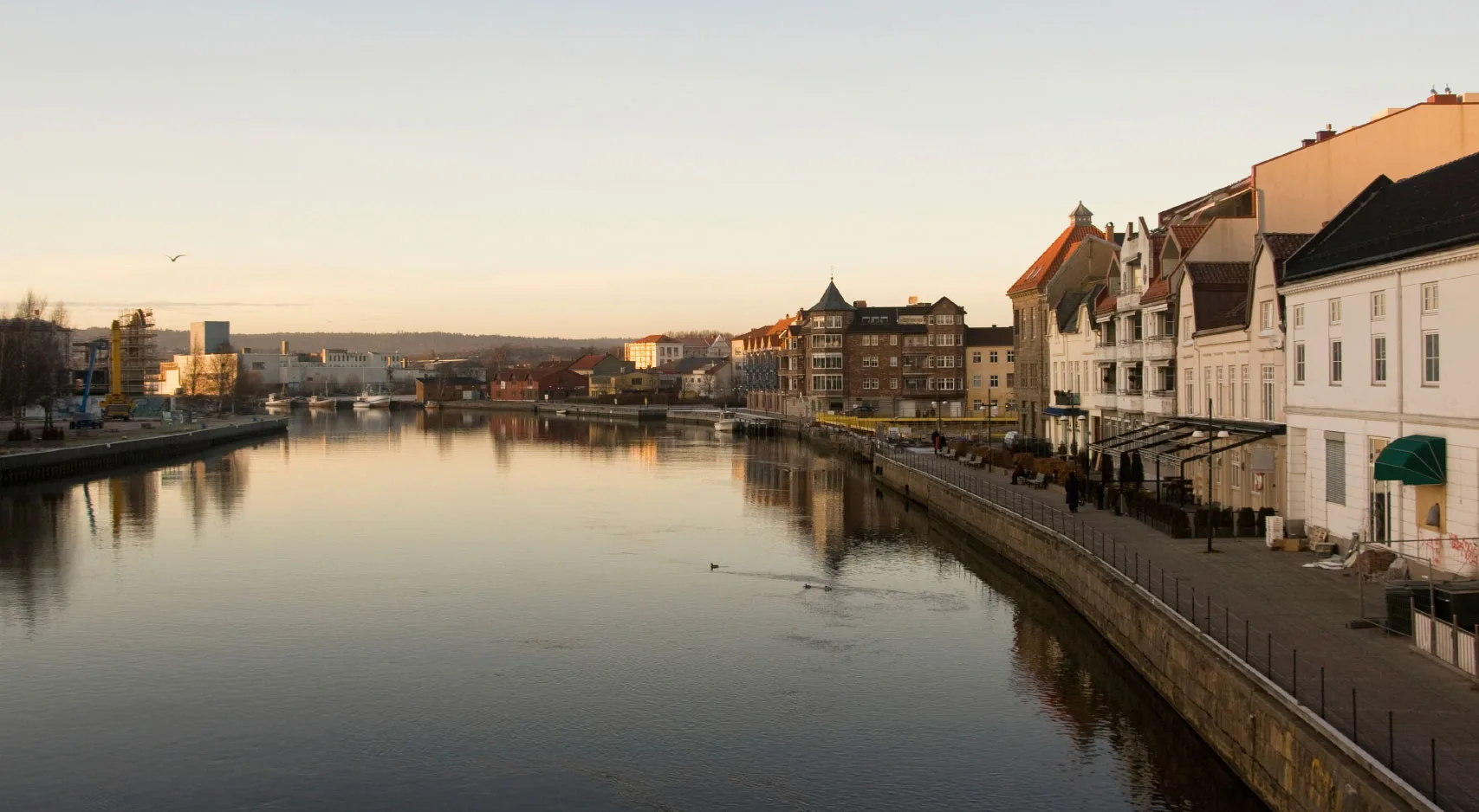 Sigurd Grydeland – Grydeland Eiendom AS – bilde 2