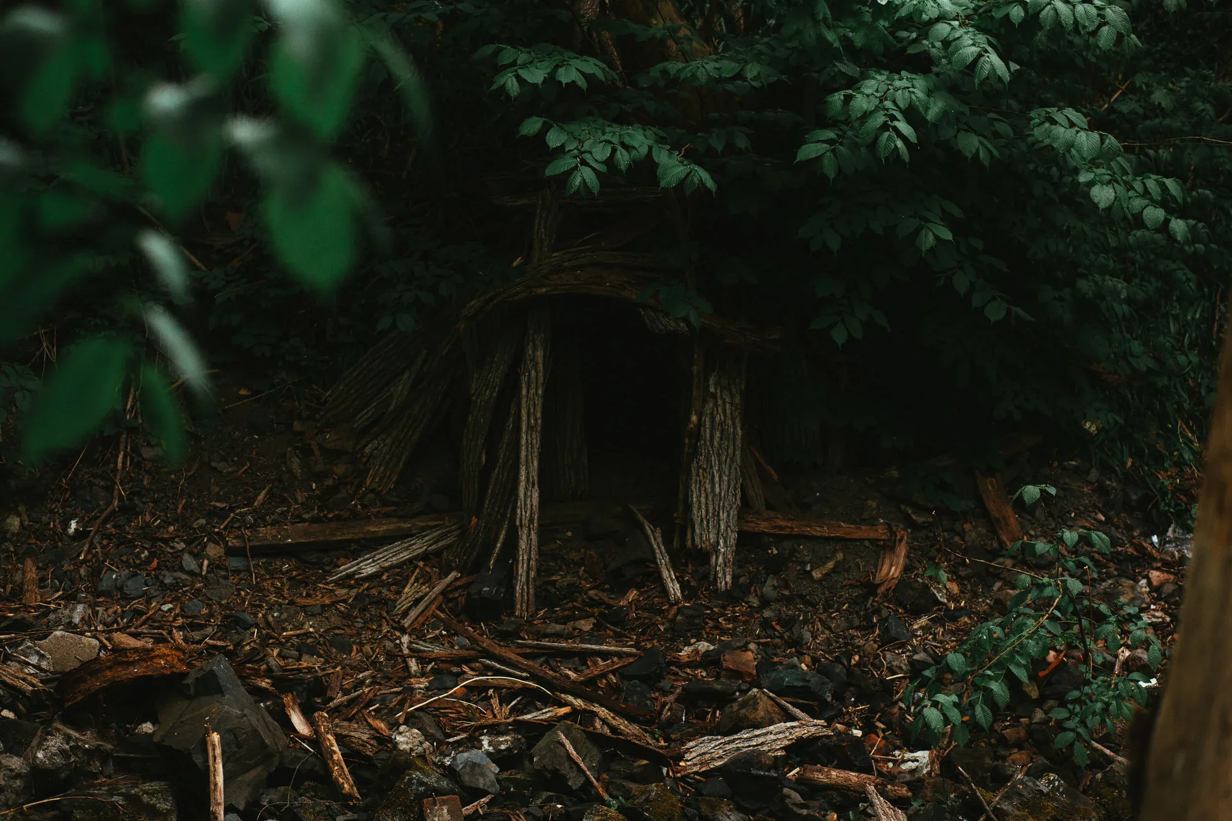 SILJE KLEVEN PHOTOGRAPHY – bilde 1