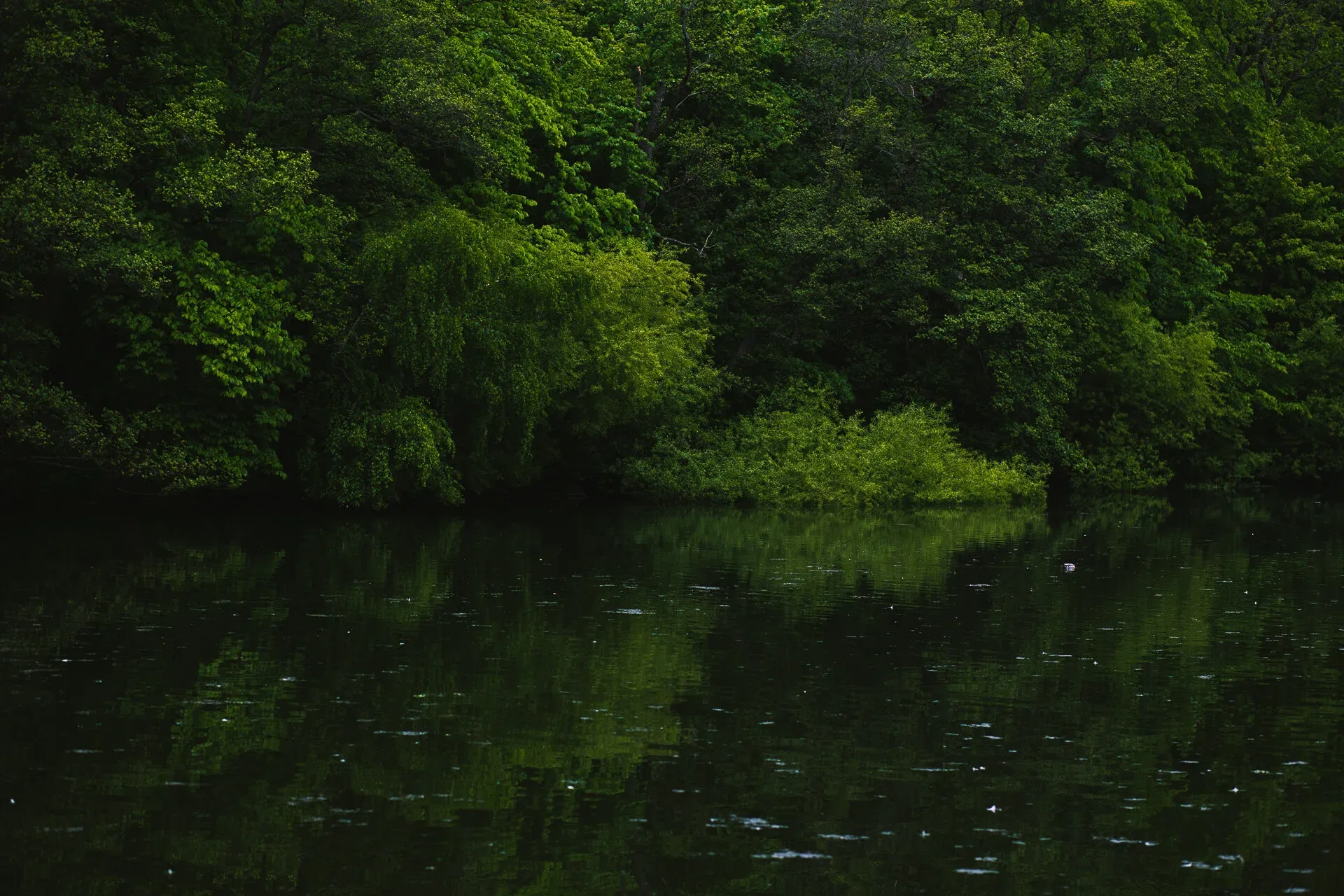 SILJE KLEVEN PHOTOGRAPHY – bilde 2